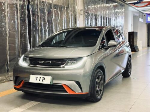 Dolphin 2021 Fashion Edition