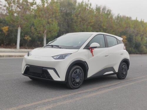 Seagull 2025 305KM Vitality Edition